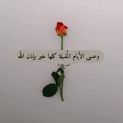 DirisMaham26182's profile picture. 