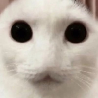 keldeenstevens's profile picture. 