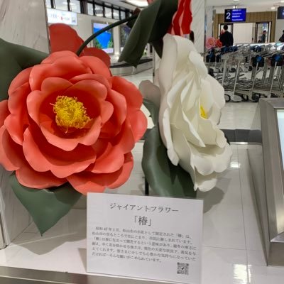 rimincoco's profile picture. 女子バスケ（主にシャンソン）＆女子バレー（主に上尾）&女子サッカー(主にオルカ、EFCL、acnpl#27等）をメインに応援している一応主婦です！面識あり&知り合い&趣味の合う方などのみフォローします！但し怪しいアカウント等は即刻通報等させて頂きます！ここは基本的にはスポーツ中心のアカ。別アカは@rimiccheese