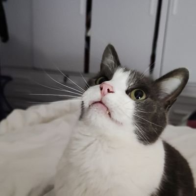 Felipeさんのプロフィール画像