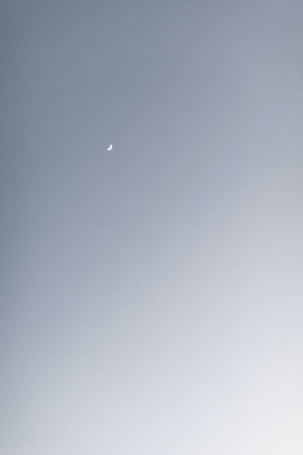 MistyRayne16's profile picture. 一緒に盛り上がろう！