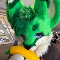 Tylerfennec (@tylerthefenn3c) 's Twitter Profile Photo Tylerfennec (@tylerthefenn3c) 's Twitter Profile Photo