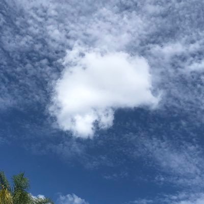 _TheShergill's profile picture. Talk Real, Be Real.