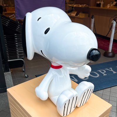 yu_cloverlove33's profile picture. 絢香💖Ed Sheeran🌟Calum Scott🌹Gabrielle Aplin💖洋楽etc. l love music🎵piano🎹✨