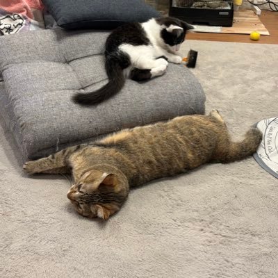 ちさんのプロフィール画像