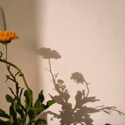 sololuyluna's profile picture. Feminista, un cacho de trova, sanadora de sonrisas, mitad turista, viajera del orbe, habito en una mujer que me cobija, no me obliga y me da luz..