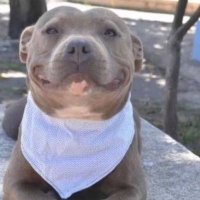 〽️ainy (@mainy1505) 's Twitter Profile Photo