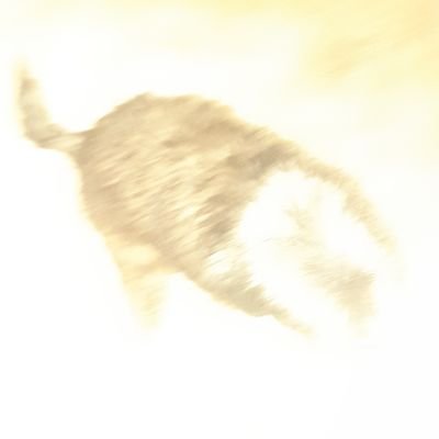 Wolpe97's profile picture. how