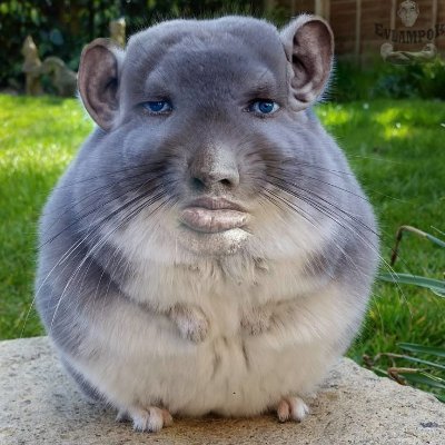 ✸jeffさんのプロフィール画像