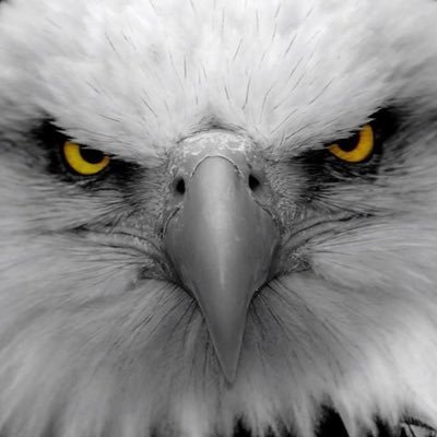 wunjh78894764's profile picture.