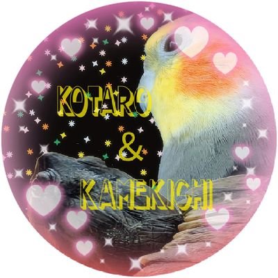テロリス↩🐤六歳になりましたさんのプロフィール画像