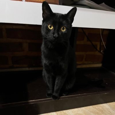 florrrayala__'s profile picture. 