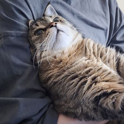 らいと｡さんのプロフィール画像