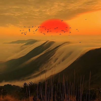 shangyin666888's profile picture. 你身上有光，我抓来看看！