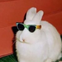 Rub 🦅 (@comeioca) 's Twitter Profile Photo