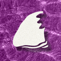 SHARK ATTACK (@sharkshowdown) 's Twitter Profile