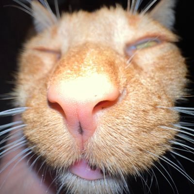 PapaTCyrpt Profile