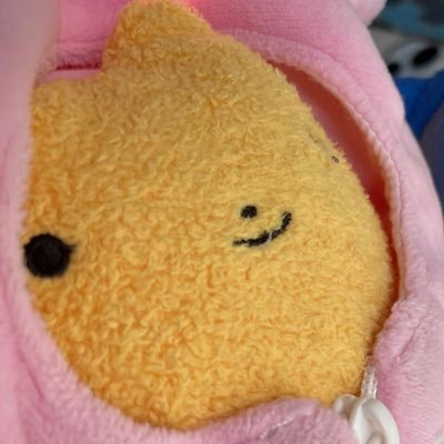 もたもたねこさんのプロフィール画像