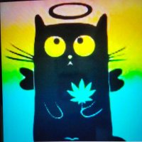 メリメリくん (@lucaswenderlu) 's Twitter Profile