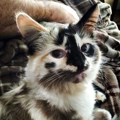 mariiabis's profile picture. 