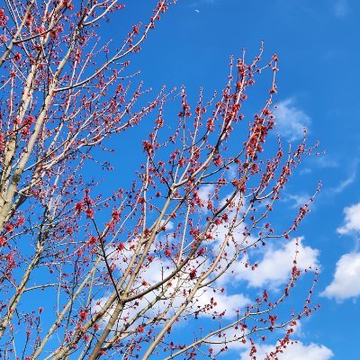 OTStephanie's profile picture. 