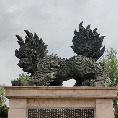 HenrySun1230's profile picture. 