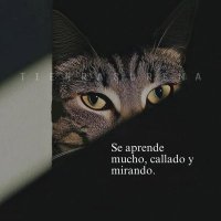 Soto (@sotit0) 's Twitter Profile Photo