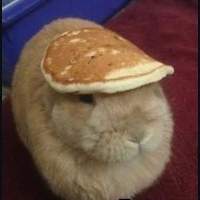 nobre1867's profile picture. 