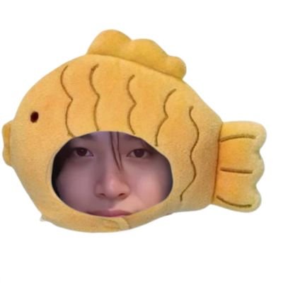 luwiskies's profile picture. loving, junghwan #treasure | juhoon #cortis | woojin #lngshot 💬🩷