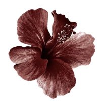 zay☆ (@zayxtr) 's Twitter Profile