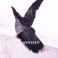 SEVENTEEN (@szy1717) 's Twitter Profile Photo SEVENTEEN (@szy1717) 's Twitter Profile Photo