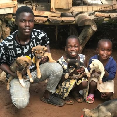 We are a non profitable organization based on helping migratory and Vagrant animals Dogs and cats are our link to paradise ,Animal Lovers we need your support.