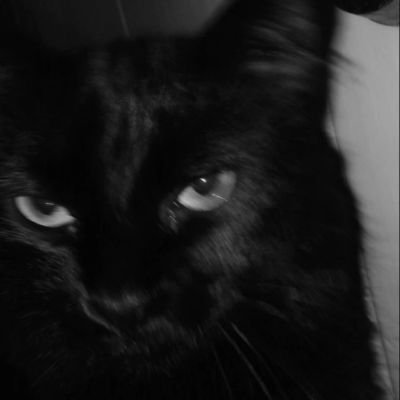 Danygagox's profile picture. 