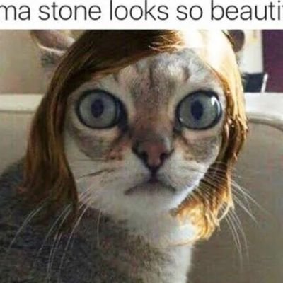 JhnB0nham's profile picture. 