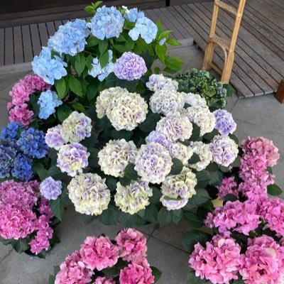 raitopart3's profile picture. 今は働きながらアダルト人気配信者として活動中😊なんか嫉妬の対象にされて足引っ張る哀れなモブ発生中 そいつら無視して人生謳歌中 毒吐き場です。https://t.co/8pXW79b2V1