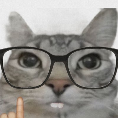 (⊡-⊡)さんのプロフィール画像