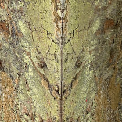 IronBart_com's profile picture. 365 days training to Ironman
https://t.co/HSabAbaULI