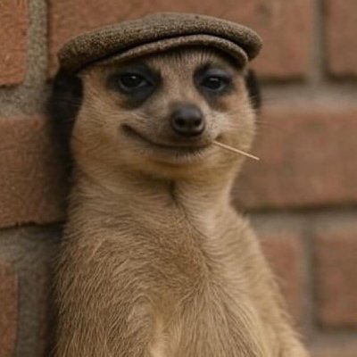 photo2342's profile picture. grw