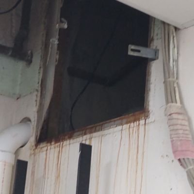 Ernesti_Origami's profile picture. 21