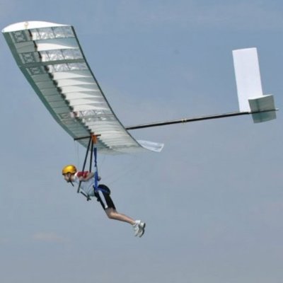 Snfrwly's profile picture. 