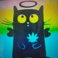 メリメリくん (@roslyn_clt) 's Twitter Profile