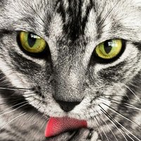 Djozeph (@djozeph47) 's Twitter Profile Photo Djozeph (@djozeph47) 's Twitter Profile Photo
