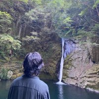 だい (@maemukinoki) 's Twitter Profile