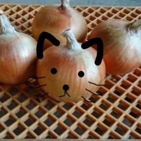 やないさんのプロフィール画像