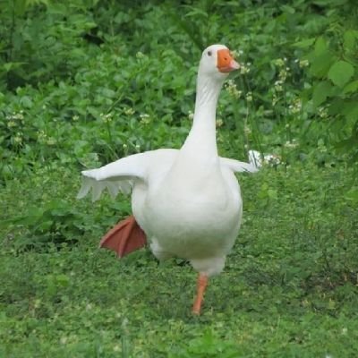 은비さんのプロフィール画像