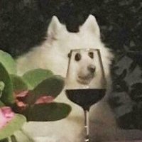 집사 (@zip_xa_) 's Twitter Profile