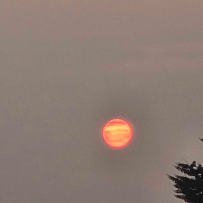 ensaaroi's profile picture. yughs mutualan