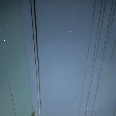 おりひめぇさんのプロフィール画像
