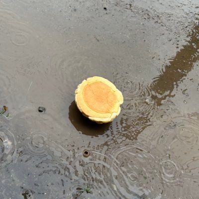 treevillage221's profile picture. t1緑さくさー