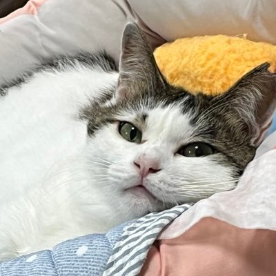 慈恩さんのプロフィール画像
